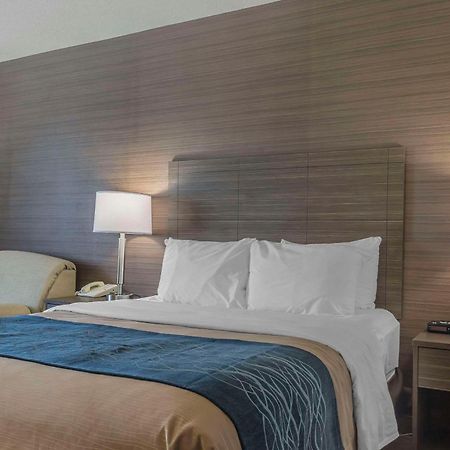 Comfort Inn Lévis Dış mekan fotoğraf