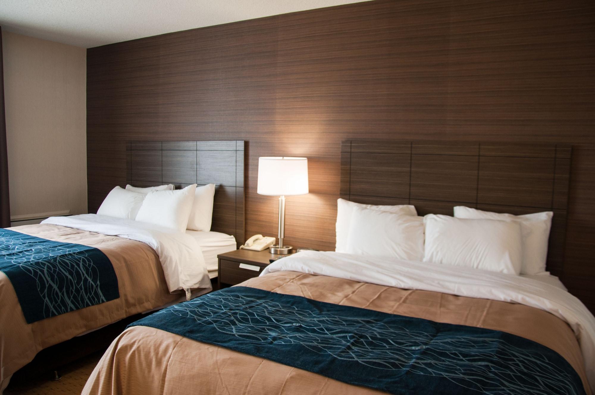Comfort Inn Lévis Dış mekan fotoğraf