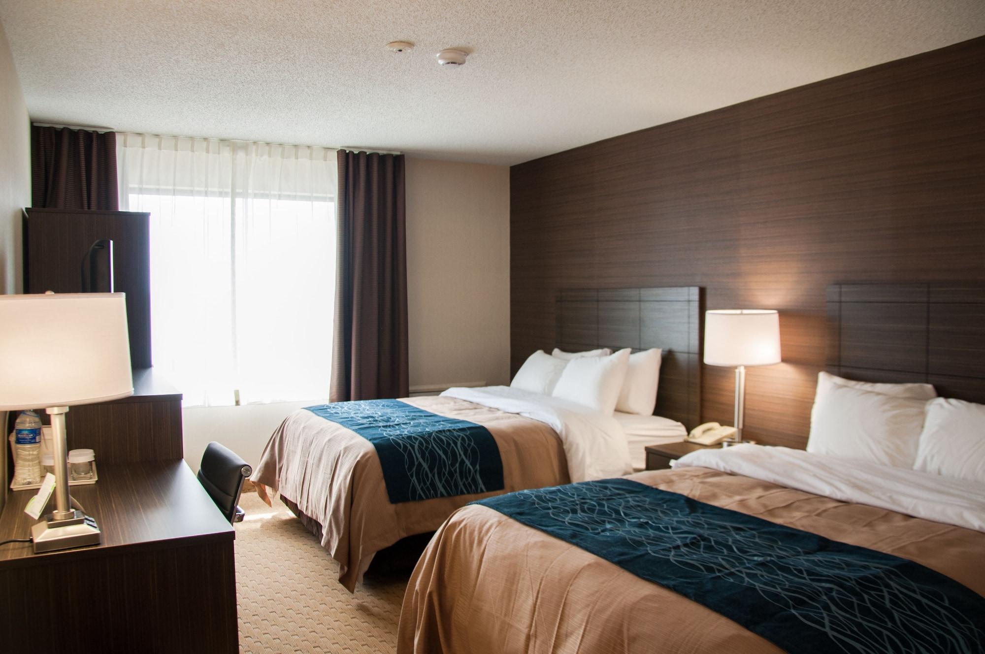 Comfort Inn Lévis Dış mekan fotoğraf