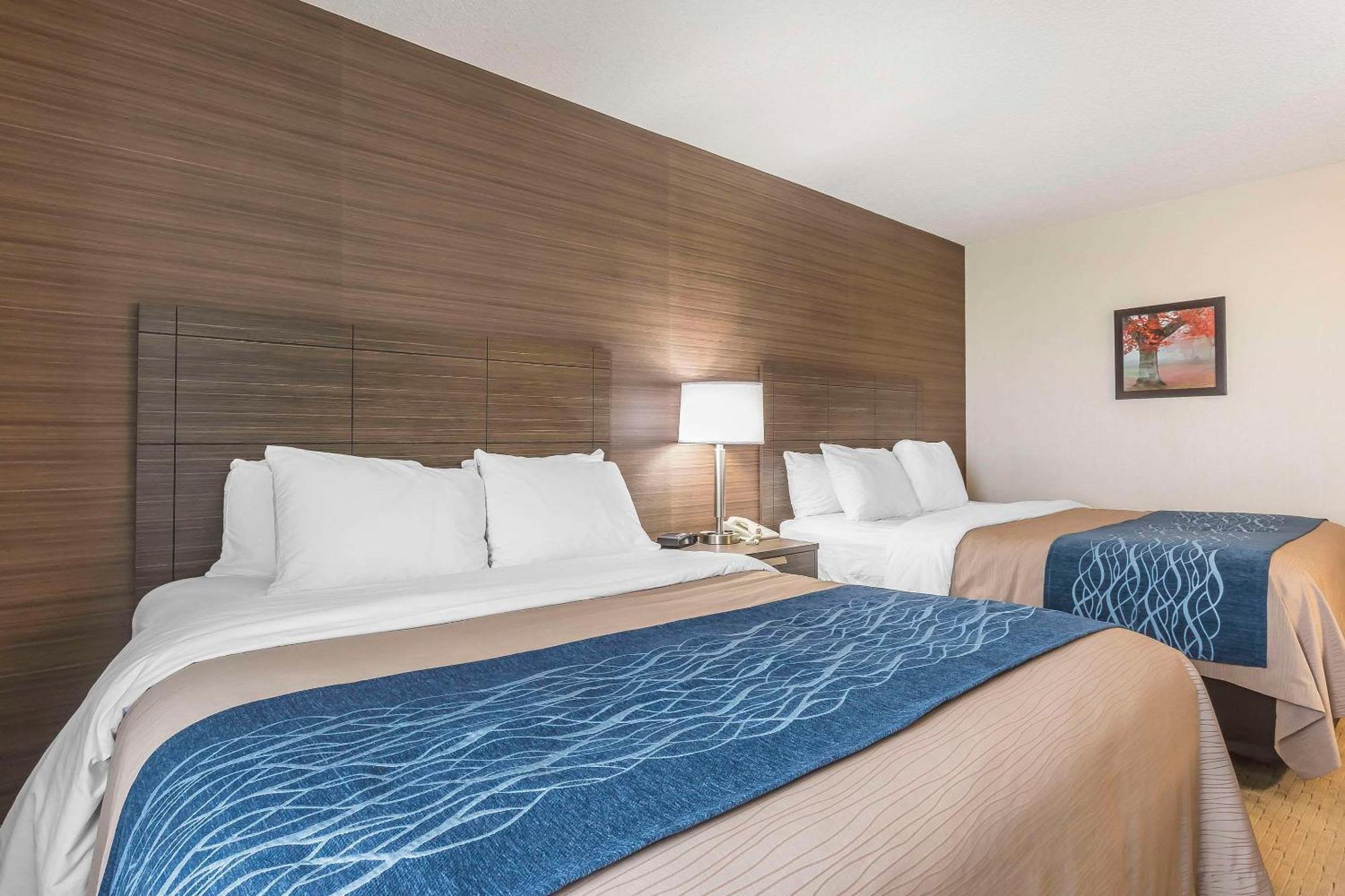 Comfort Inn Lévis Dış mekan fotoğraf