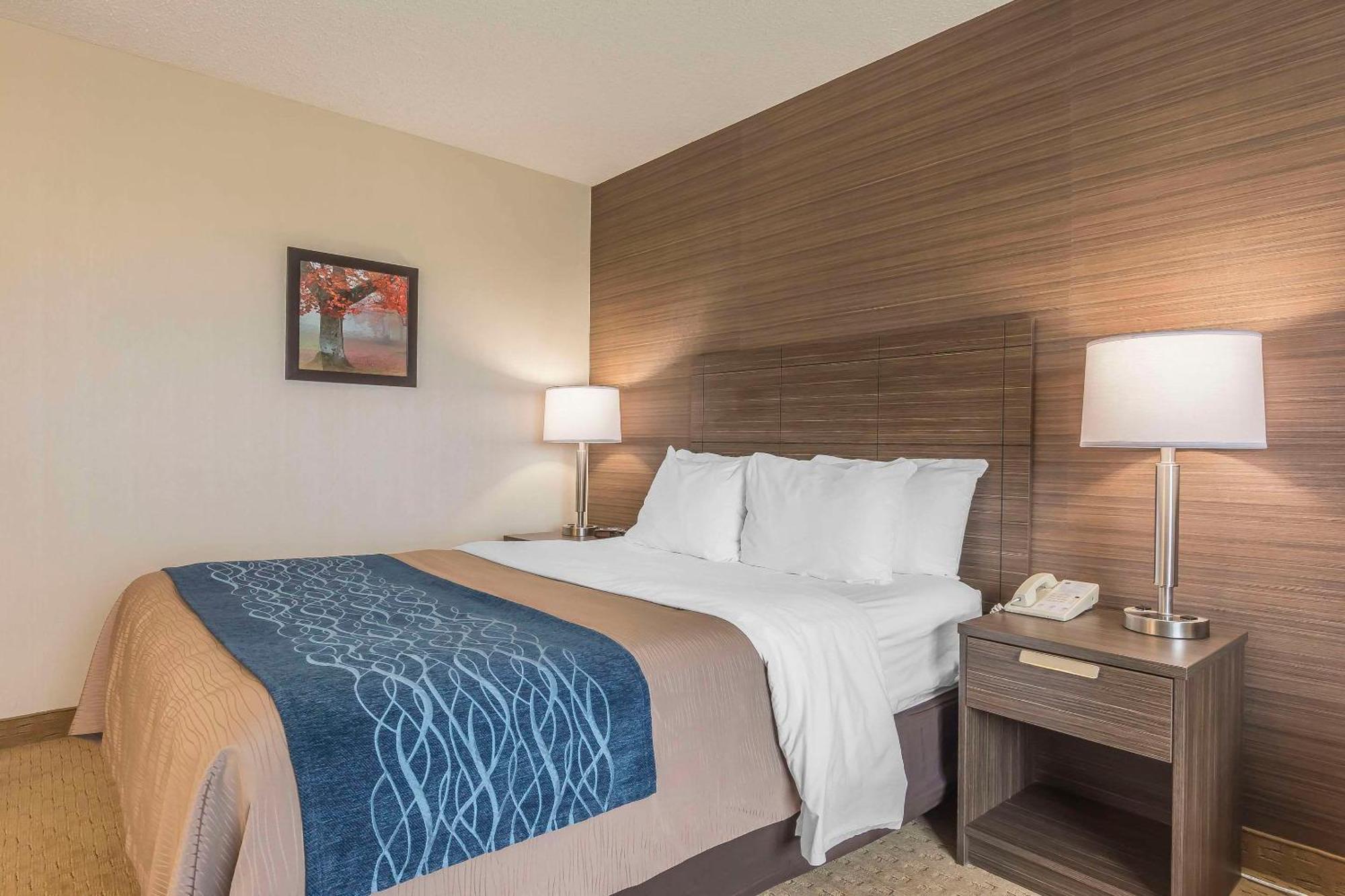 Comfort Inn Lévis Dış mekan fotoğraf