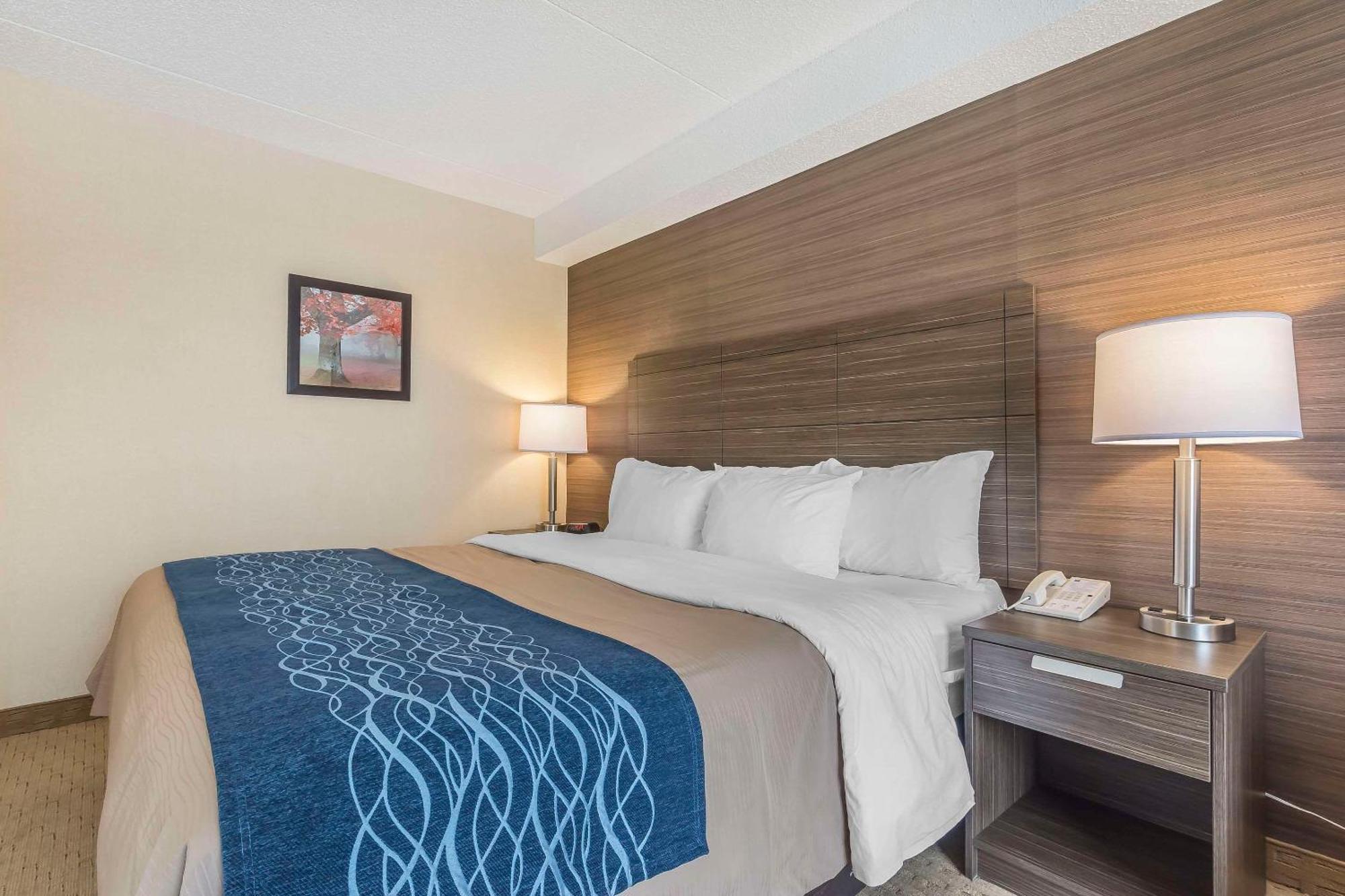 Comfort Inn Lévis Dış mekan fotoğraf