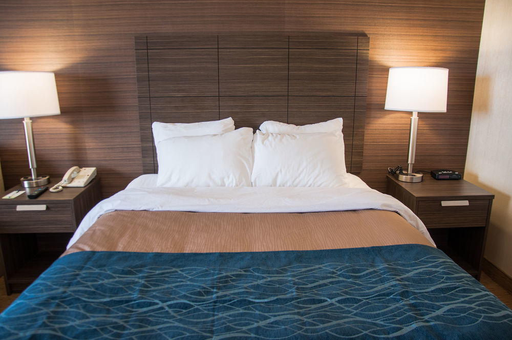 Comfort Inn Lévis Dış mekan fotoğraf
