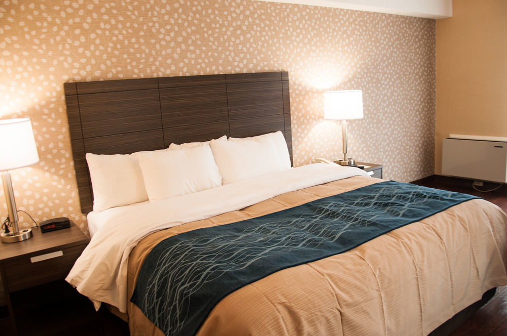 Comfort Inn Lévis Dış mekan fotoğraf