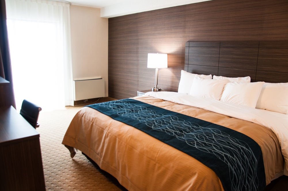 Comfort Inn Lévis Dış mekan fotoğraf