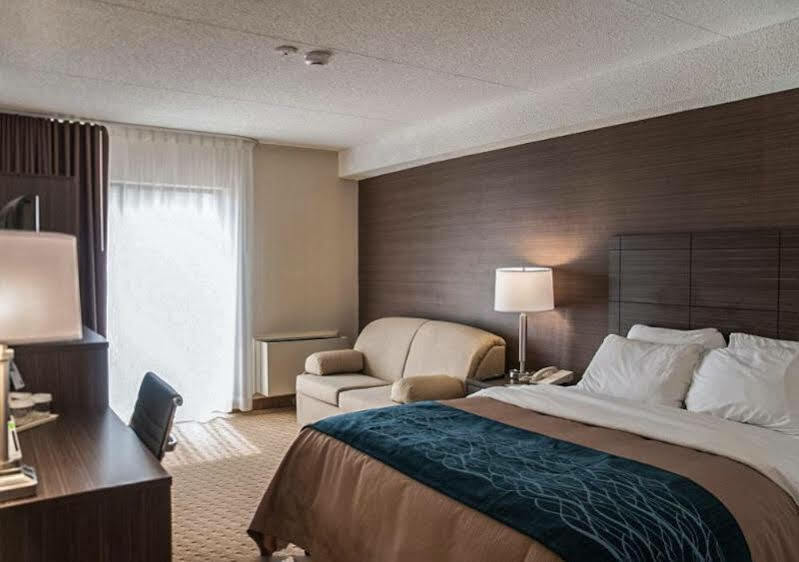 Comfort Inn Lévis Dış mekan fotoğraf