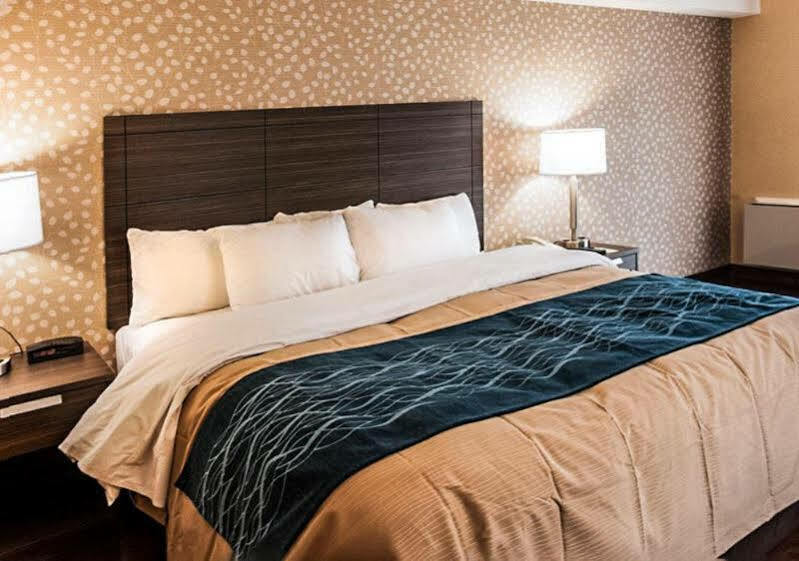 Comfort Inn Lévis Dış mekan fotoğraf