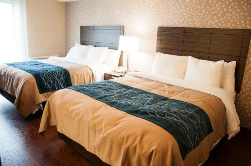 Comfort Inn Lévis Dış mekan fotoğraf