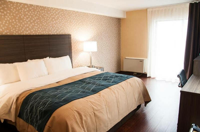 Comfort Inn Lévis Dış mekan fotoğraf